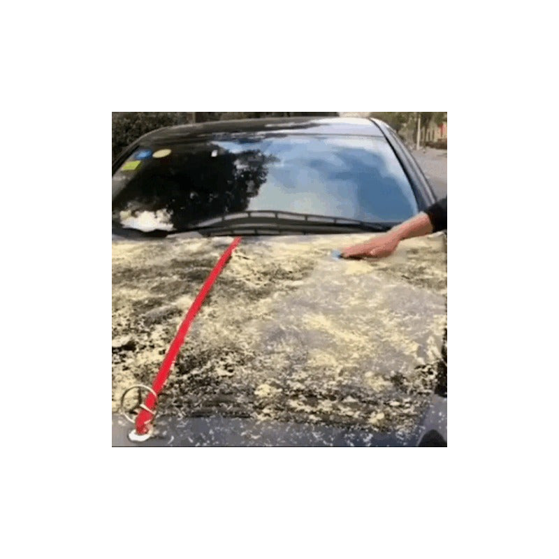 Porcelanizador Para Carros Lavado En Seco Auto Premium